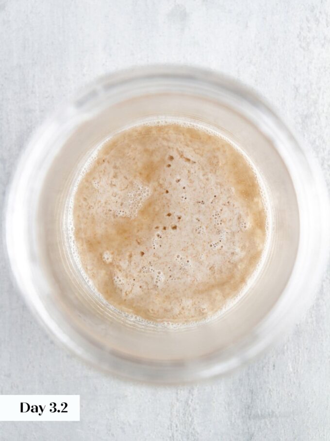 day 3 making sourdough starter glass jar viewed from top.