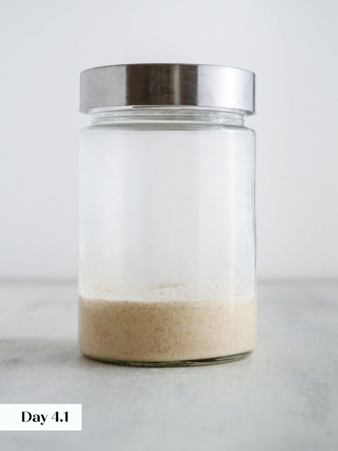 day 4 making sourdough starter glass jar viewed from side.