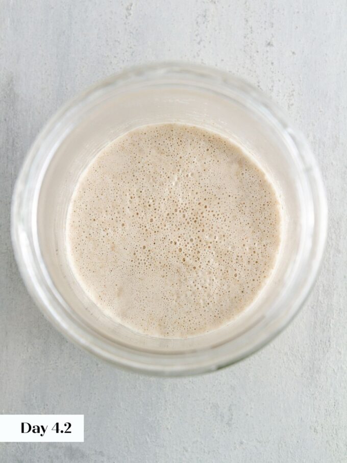 day 4 making sourdough starter glass jar viewed from top.