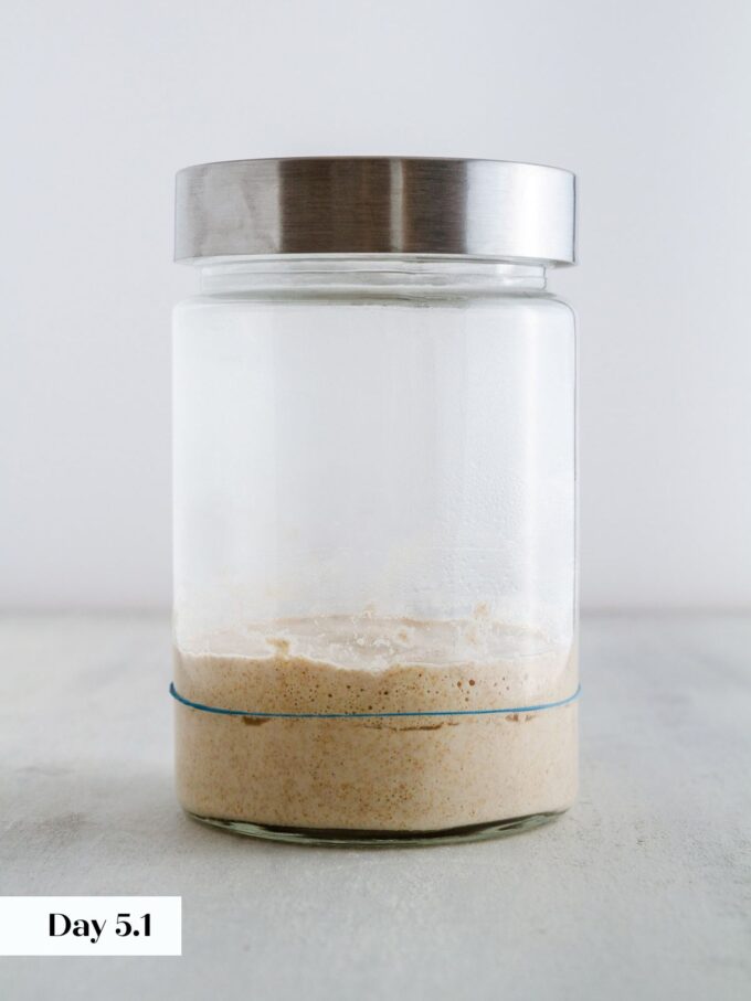 day 5 making sourdough starter glass jar viewed from side.