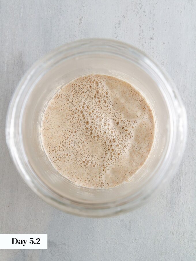 day 5 making sourdough starter glass jar viewed from top.