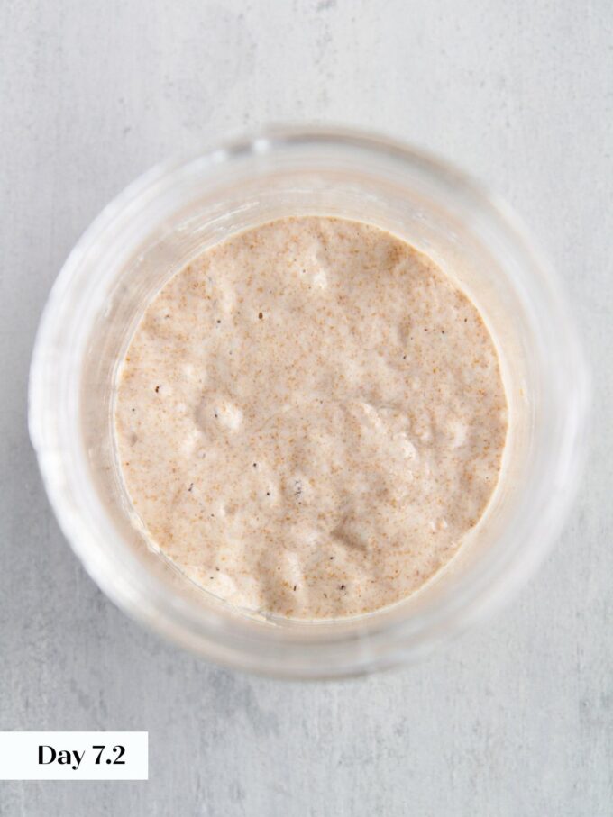 day 7 making sourdough starter glass jar viewed from top.
