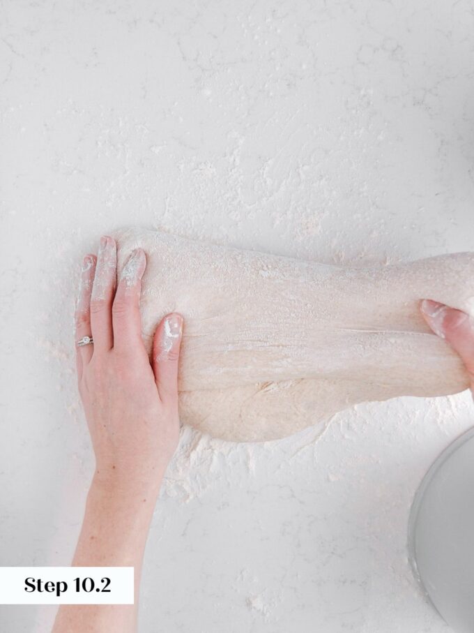 shaping sourdough loaf stretching for second fold.