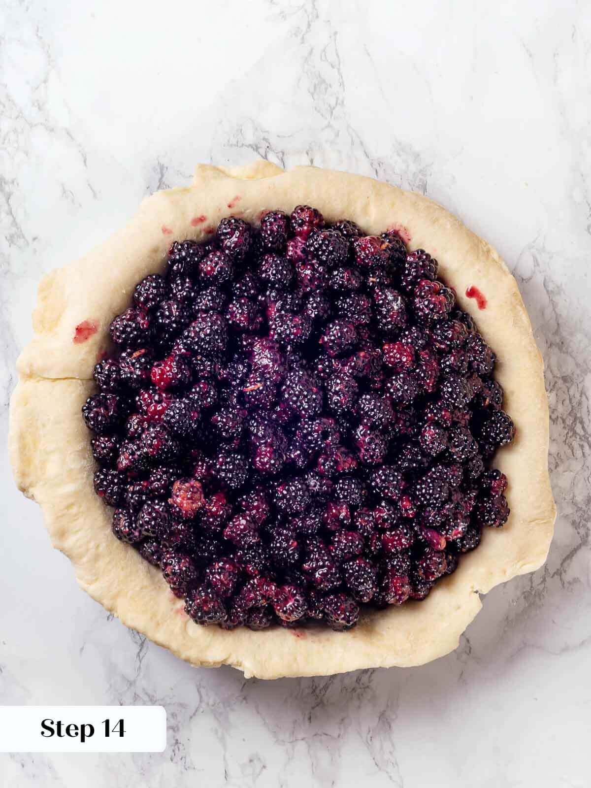 Blackberry pie filling spread inside the prepared pie crust.