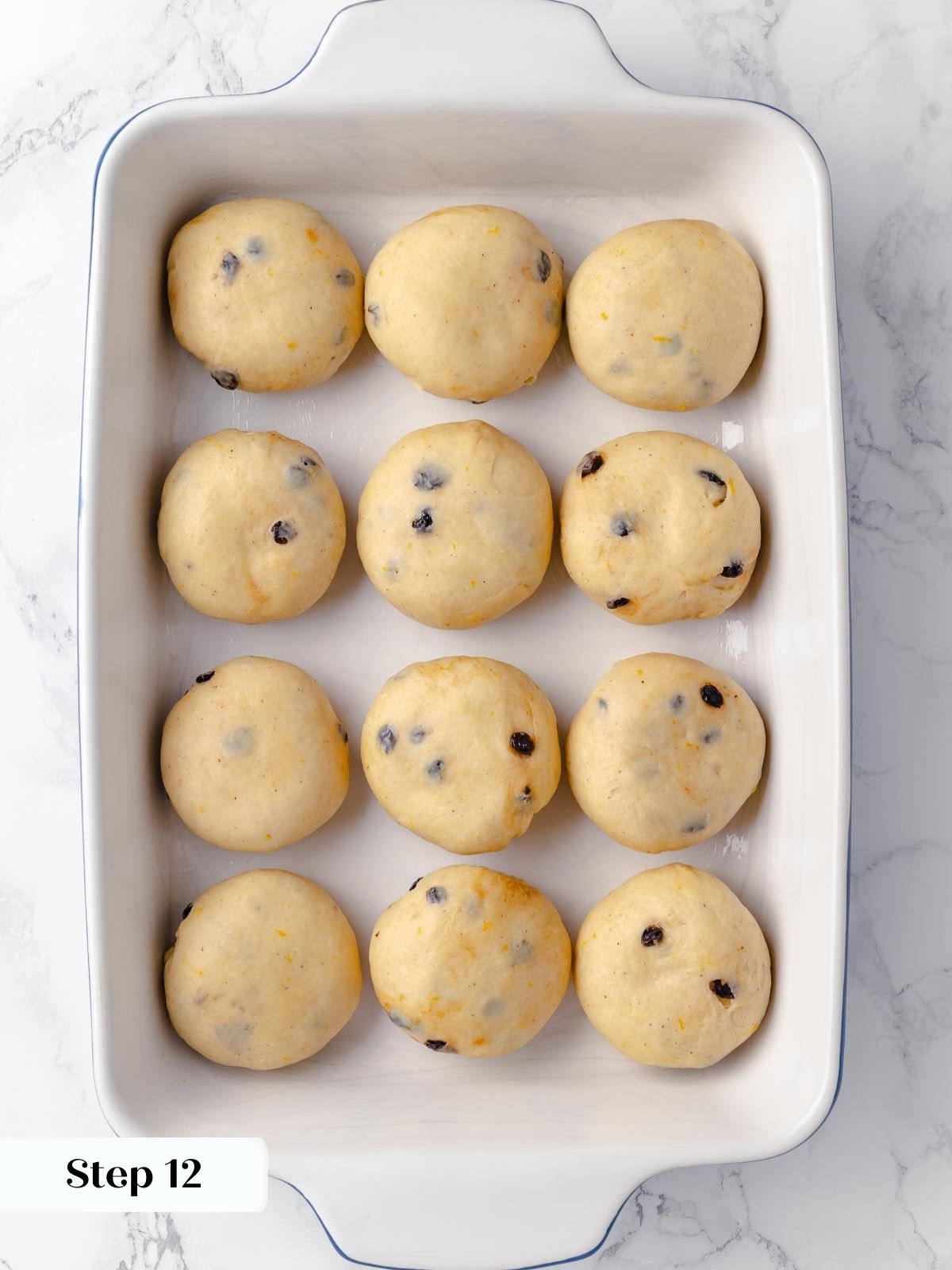 Dough divided into twelve equal portions.