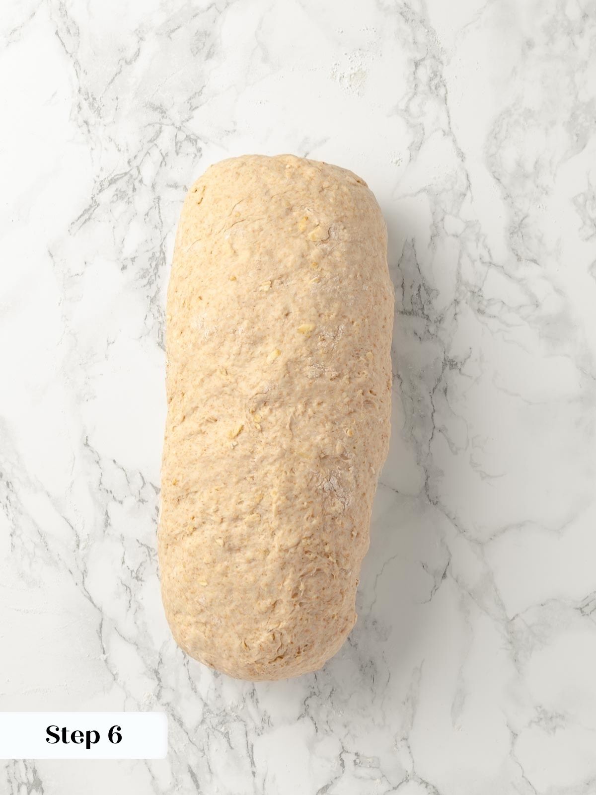 Shaped loaf of oatmeal bread dough on the countertop.