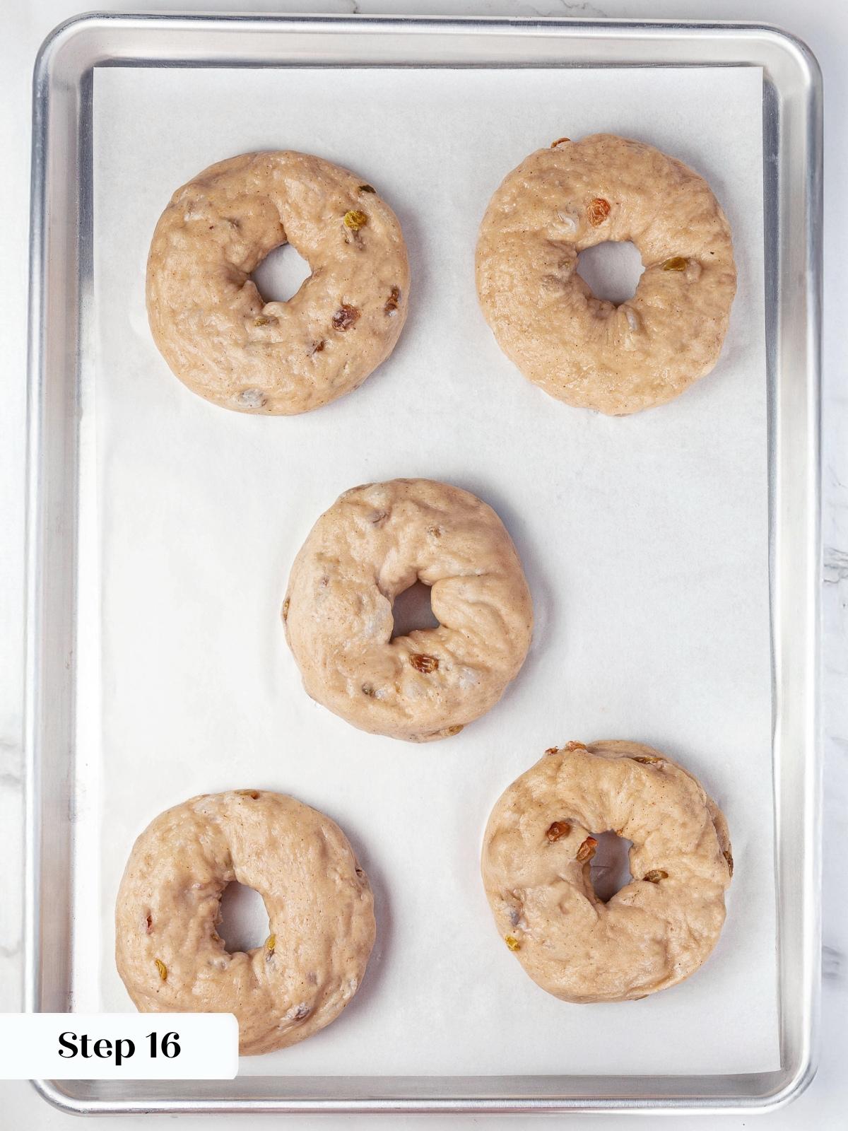 Bagels resting on baking sheet just after boiling and before oven step.