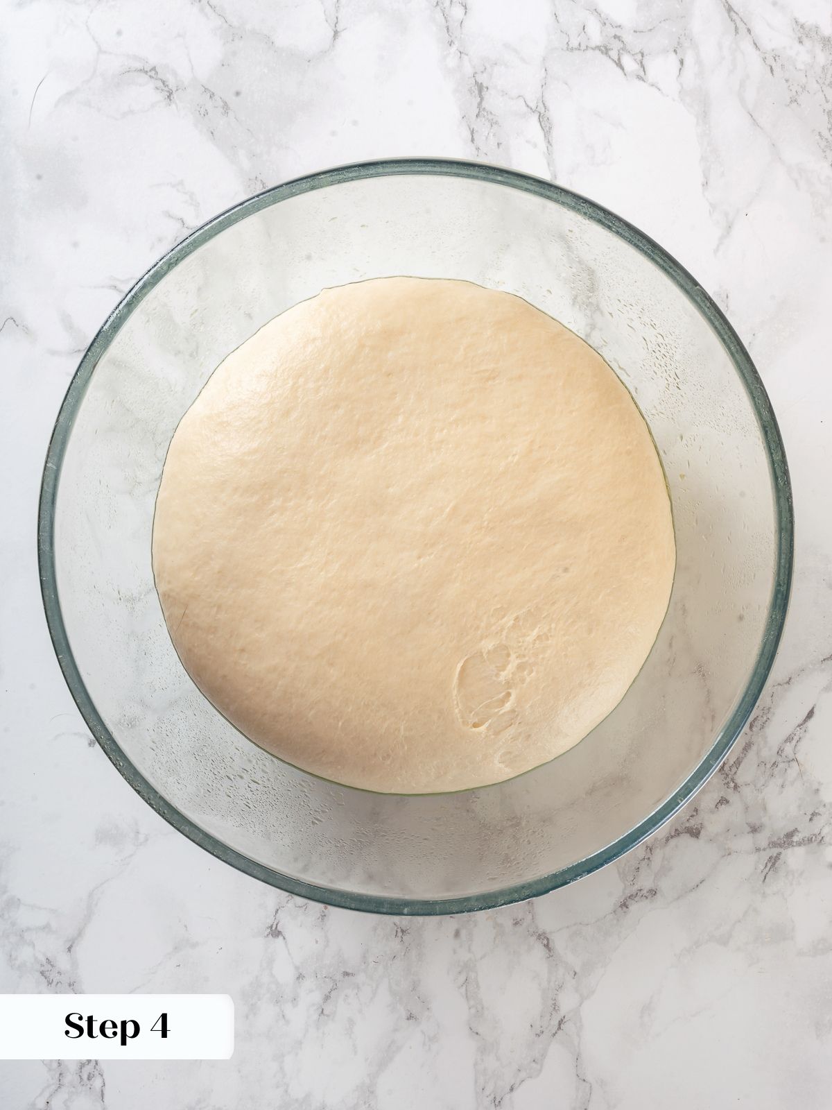 Dough risen and doubled in size after first proof, ready for preshaping into boule.