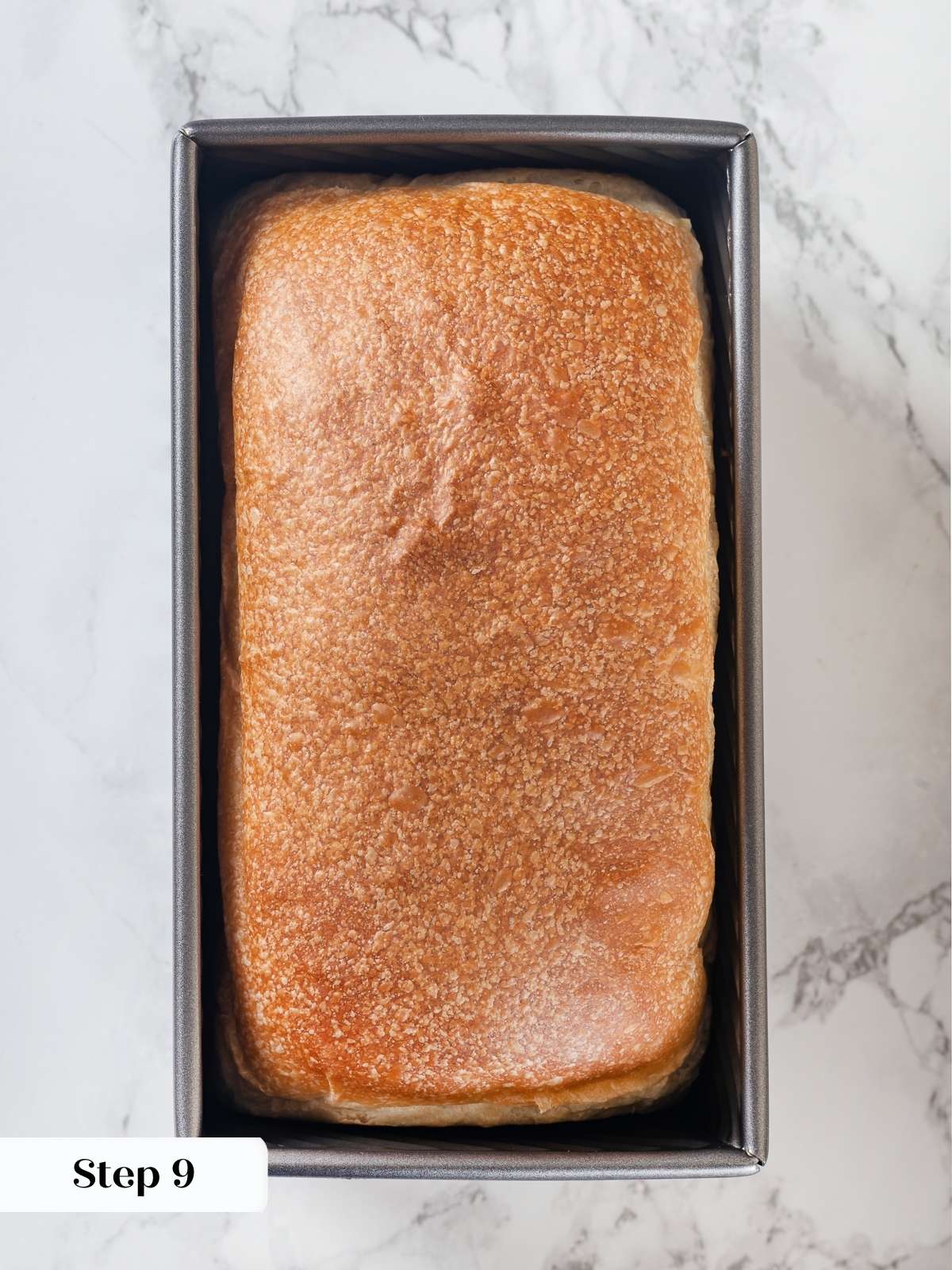 Freshly baked sourdough sandwich loaf cooling in pan after being removed from oven.