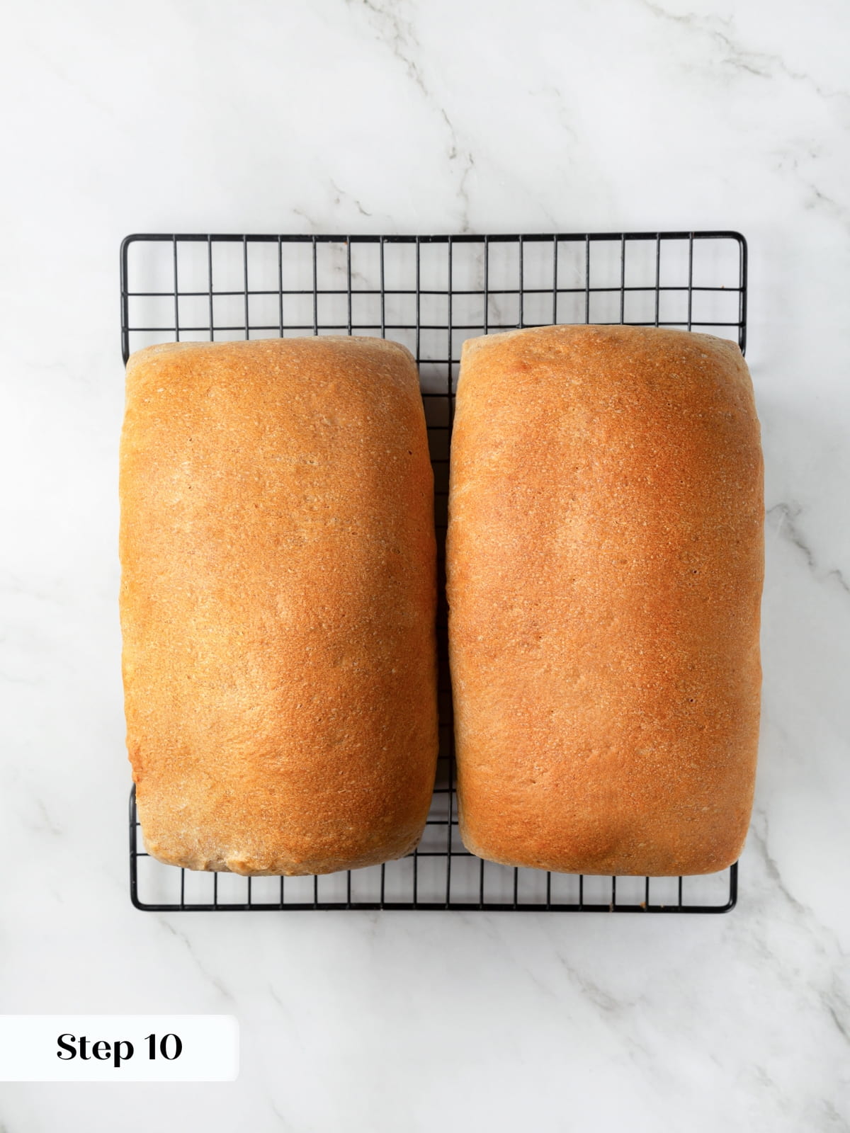 Two baked rye loaves resting on a cooling rack with warm color and sturdy crust.