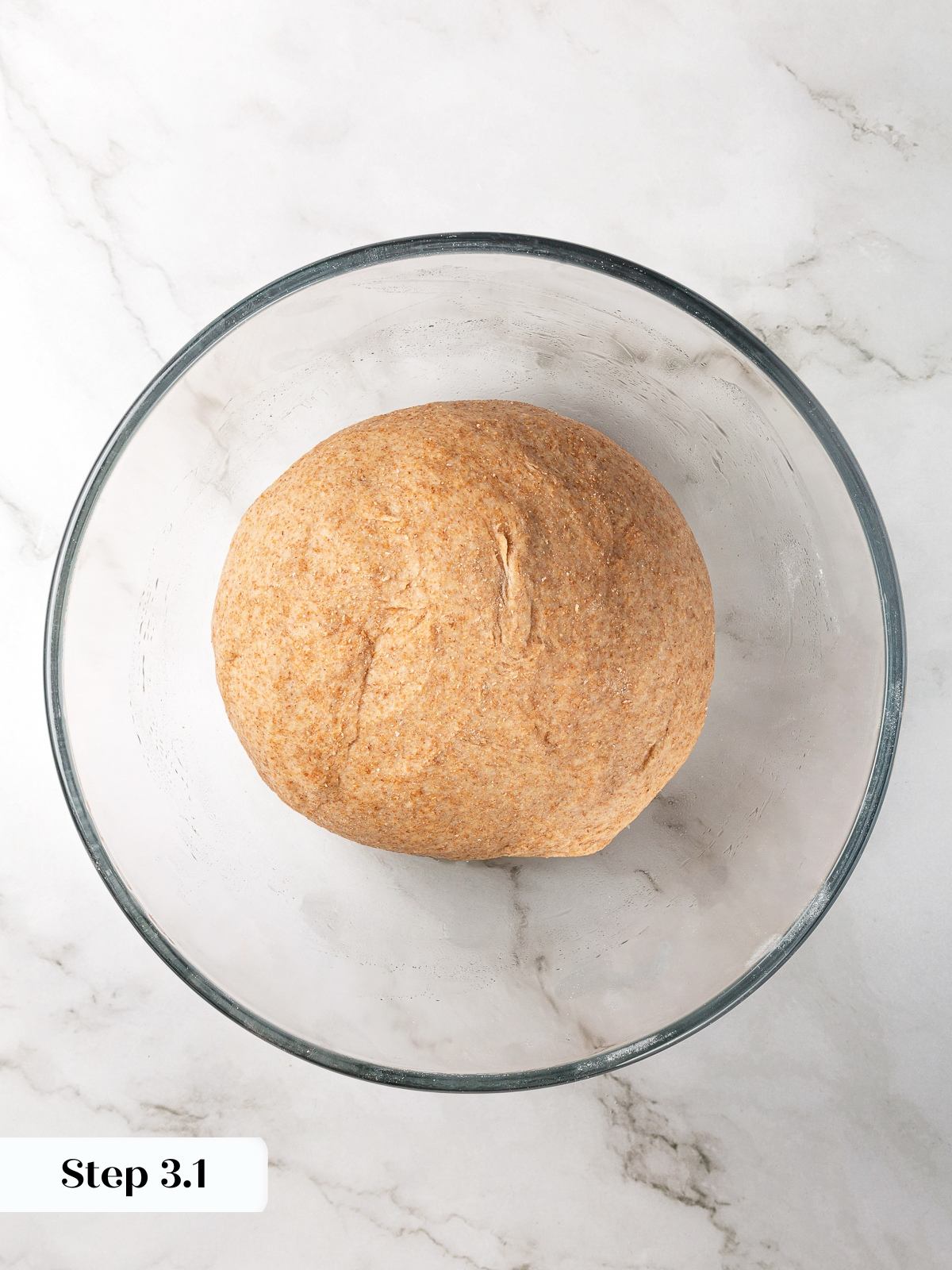 Whole wheat dough after kneading resting in bowl before first rise.