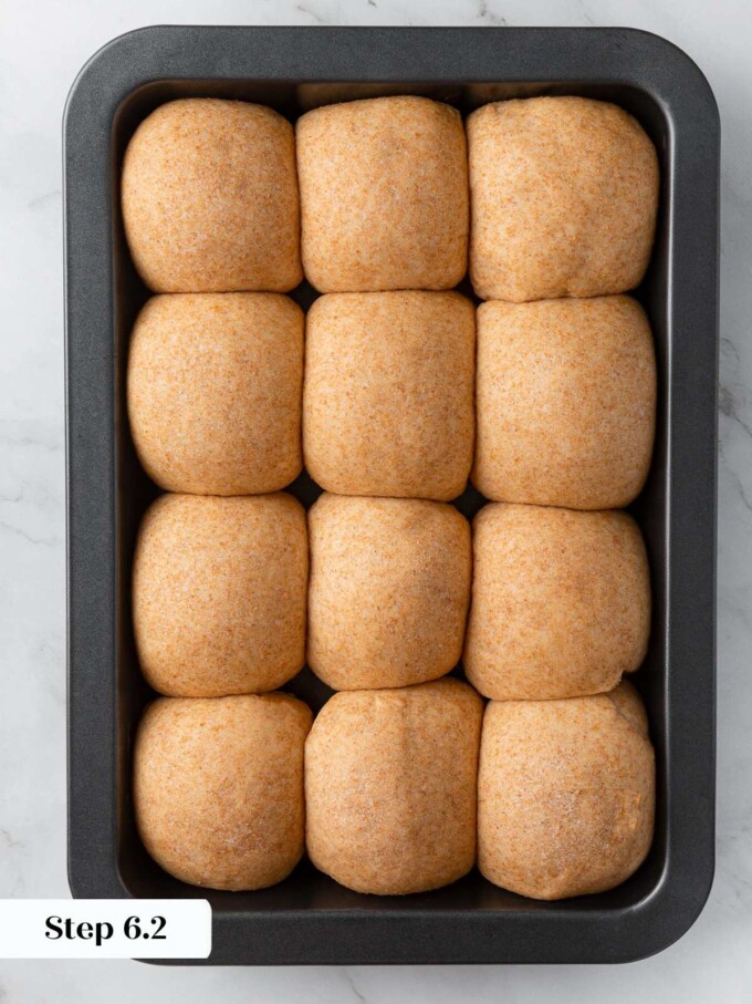 Proofed rolls showing increased volume, airy texture, and soft surface before baking.