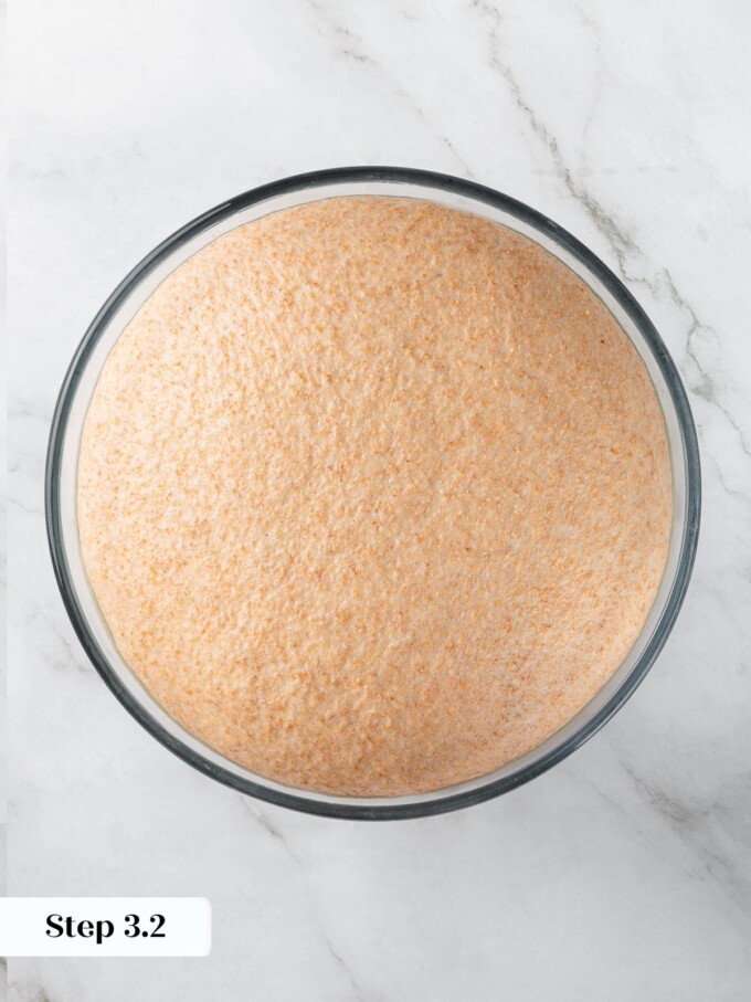 Dough after first proof showing doubled size, smooth surface, and light, airy structure.