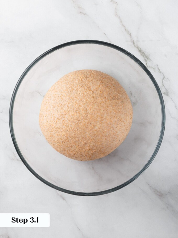 Whole wheat dough resting after kneading, ready for first rise with smooth appearance.