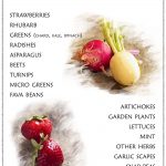 A Guide to the Spring Farmers' Market Wondering what might be available when shopping at the spring farmers' market? This guide will let you know what fresh fruit, vegetables, and plants you will see in the spring. Also find ingredient spotlights, recipes, and more!
