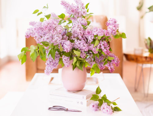 How to Create a Lilac Bouquet | An oversized lilac bouquet and a pair of clippers on a white coffee table in JustineCelinaβs light and airy mid century meets boho modern living room | DIY Lilac Flower Arrangement | How to Forage Lilacs | How to Prolong Lilac Vase Life | How to Arrange Lilacs | Fresh Lilac Flower Bouquet | Extremely Pretty Lilac Arrangement | Purple Lilac Arrangement | How to Cut Lilacs from a tree or bush | Calgary Creative Lifestyle Blogger // JustineCelina.com