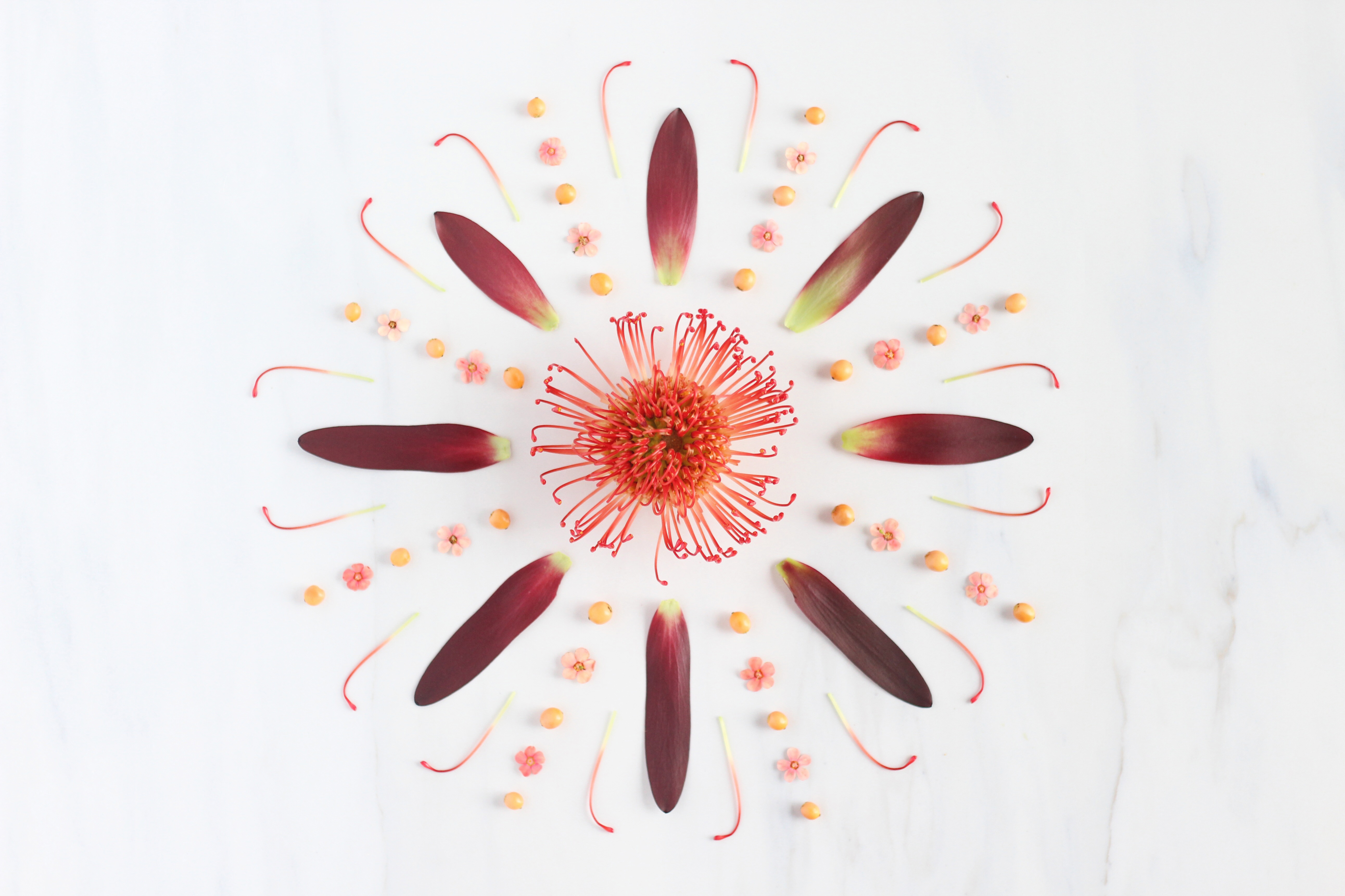 DIGITAL BLOOMS OCTOBER 2016 | FREE TECH WALLPAPERS | Design 1 // JustineCelina.com