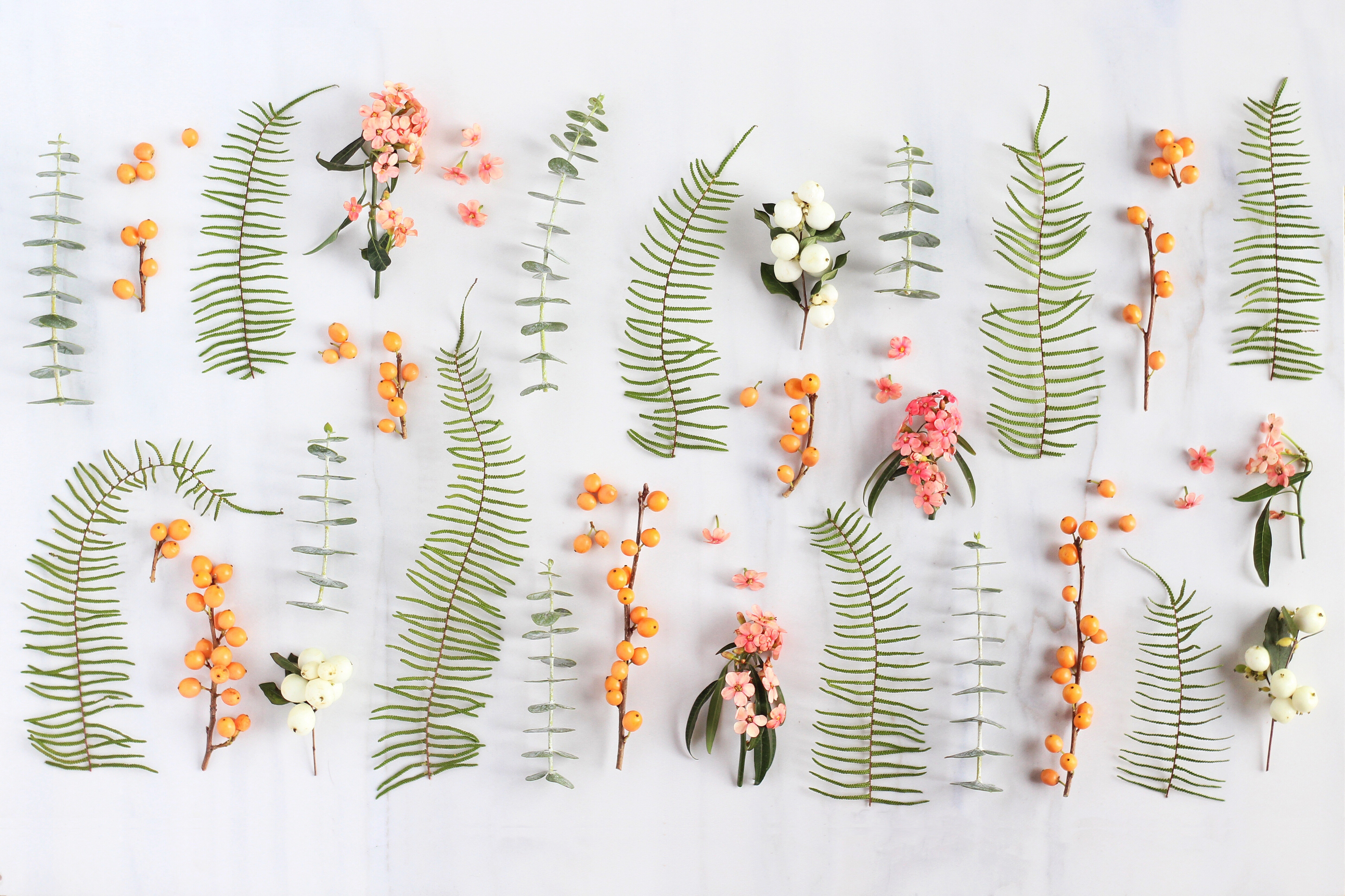 DIGITAL BLOOMS OCTOBER 2016 | FREE TECH WALLPAPERS | Design 2 // JustineCelina.com