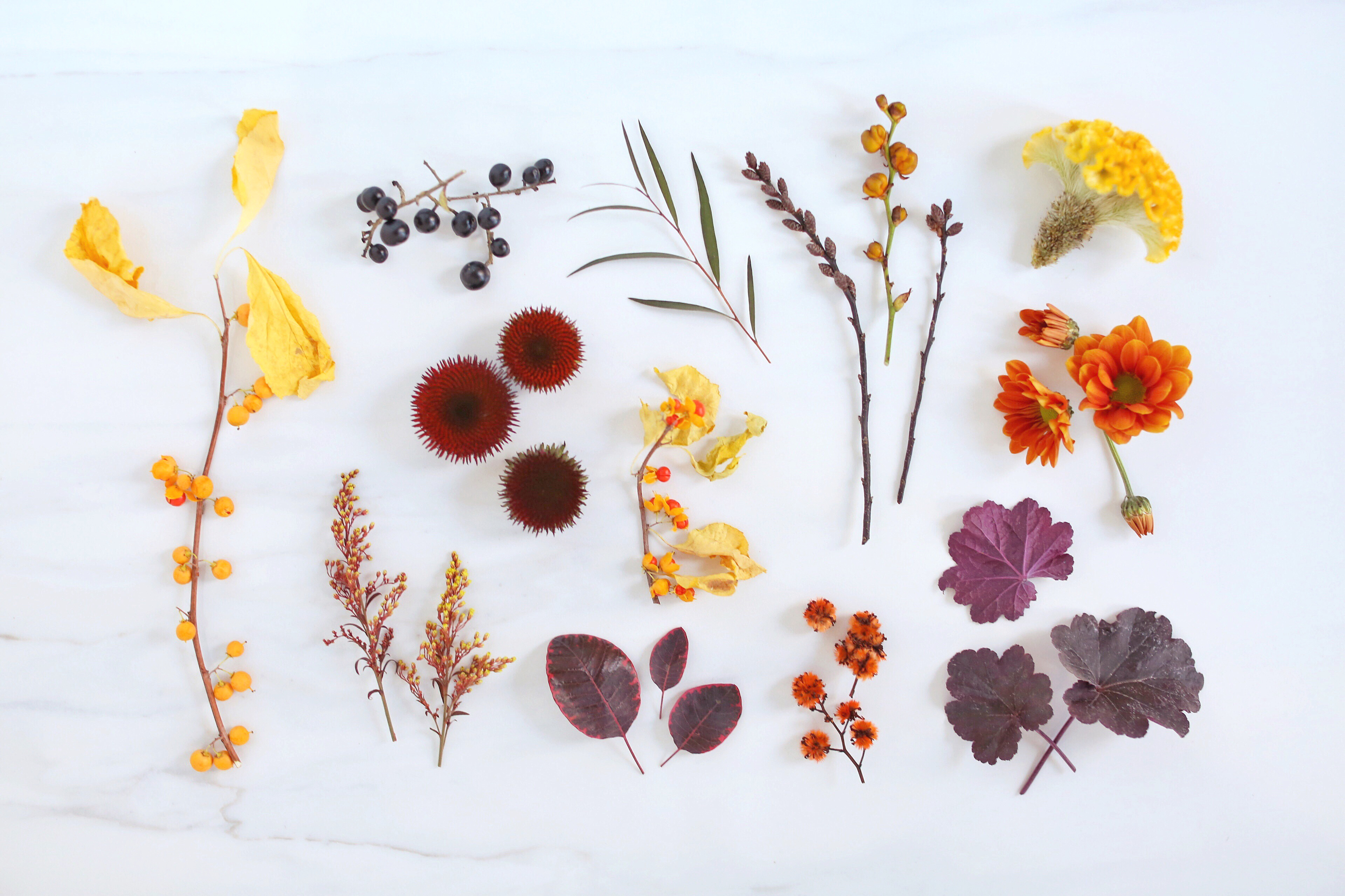 Digital Blooms November 2017 | Free Desktop Wallpapers | Design 1 // JustineCelina.com x Rebecca Dawn Design