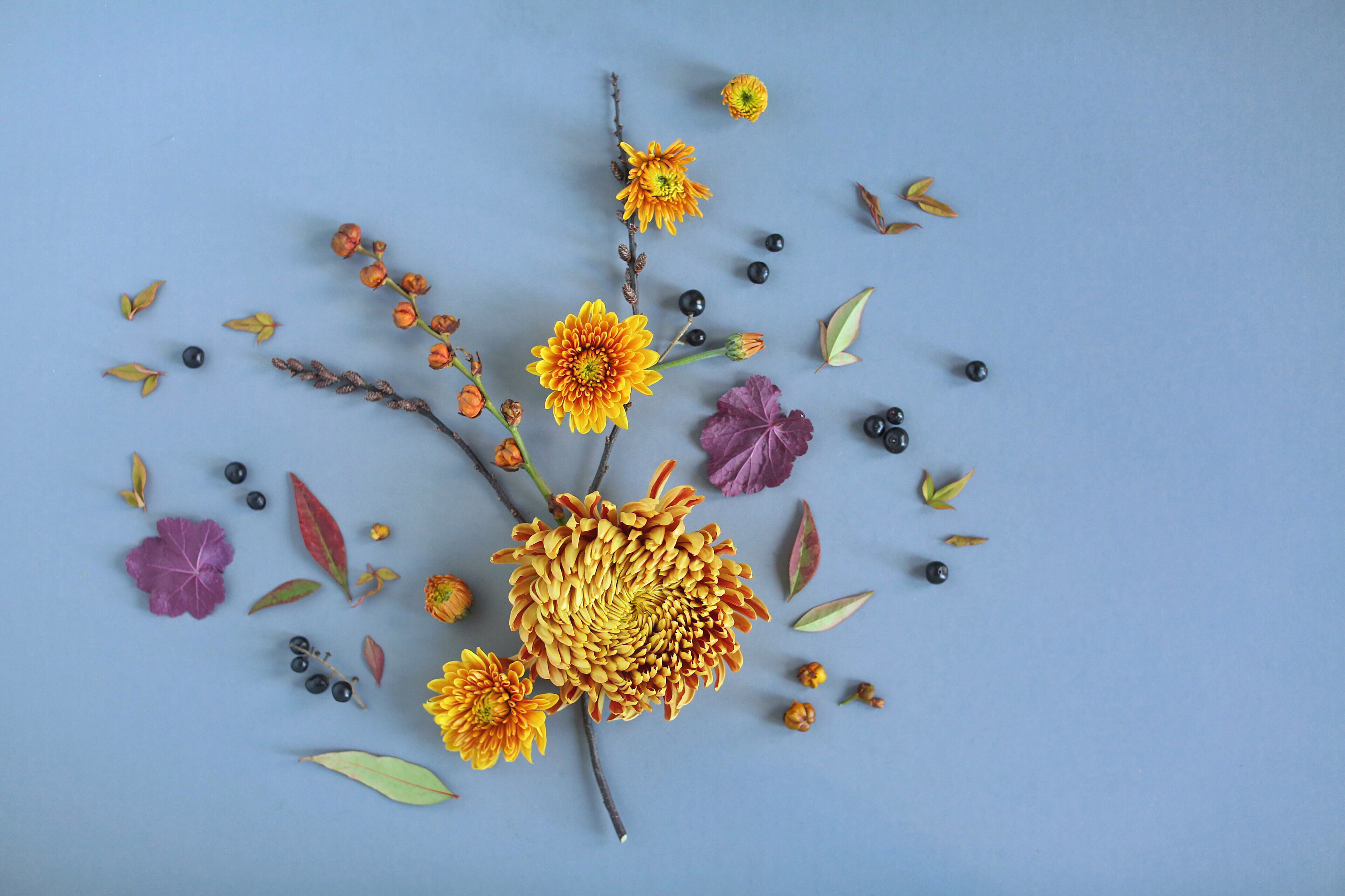 Digital Blooms November 2017 | Free Desktop Wallpapers | Design 2 // JustineCelina.com x Rebecca Dawn Design