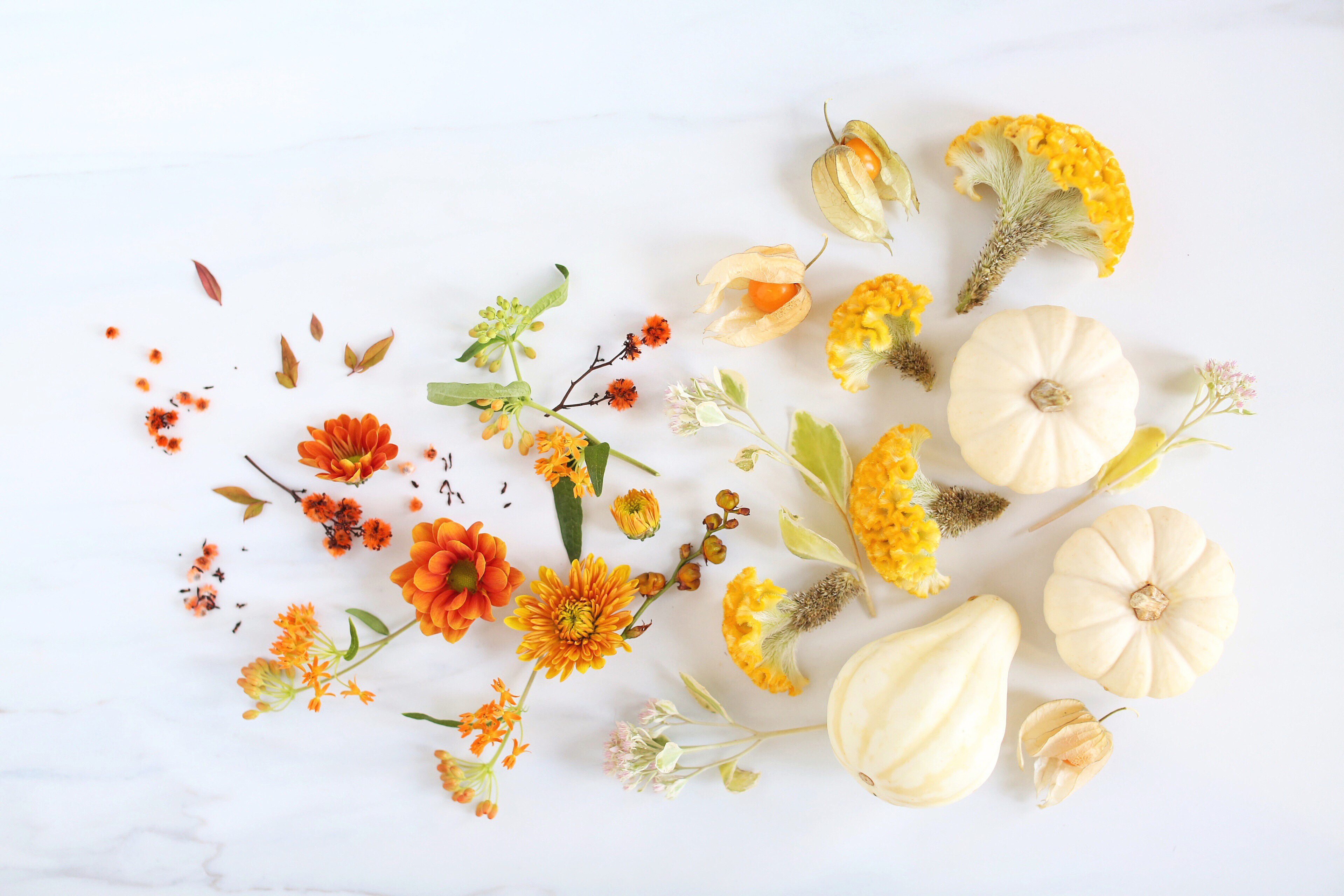 Digital Blooms November 2017 | Free Desktop Wallpapers | Design 3 // JustineCelina.com x Rebecca Dawn Design