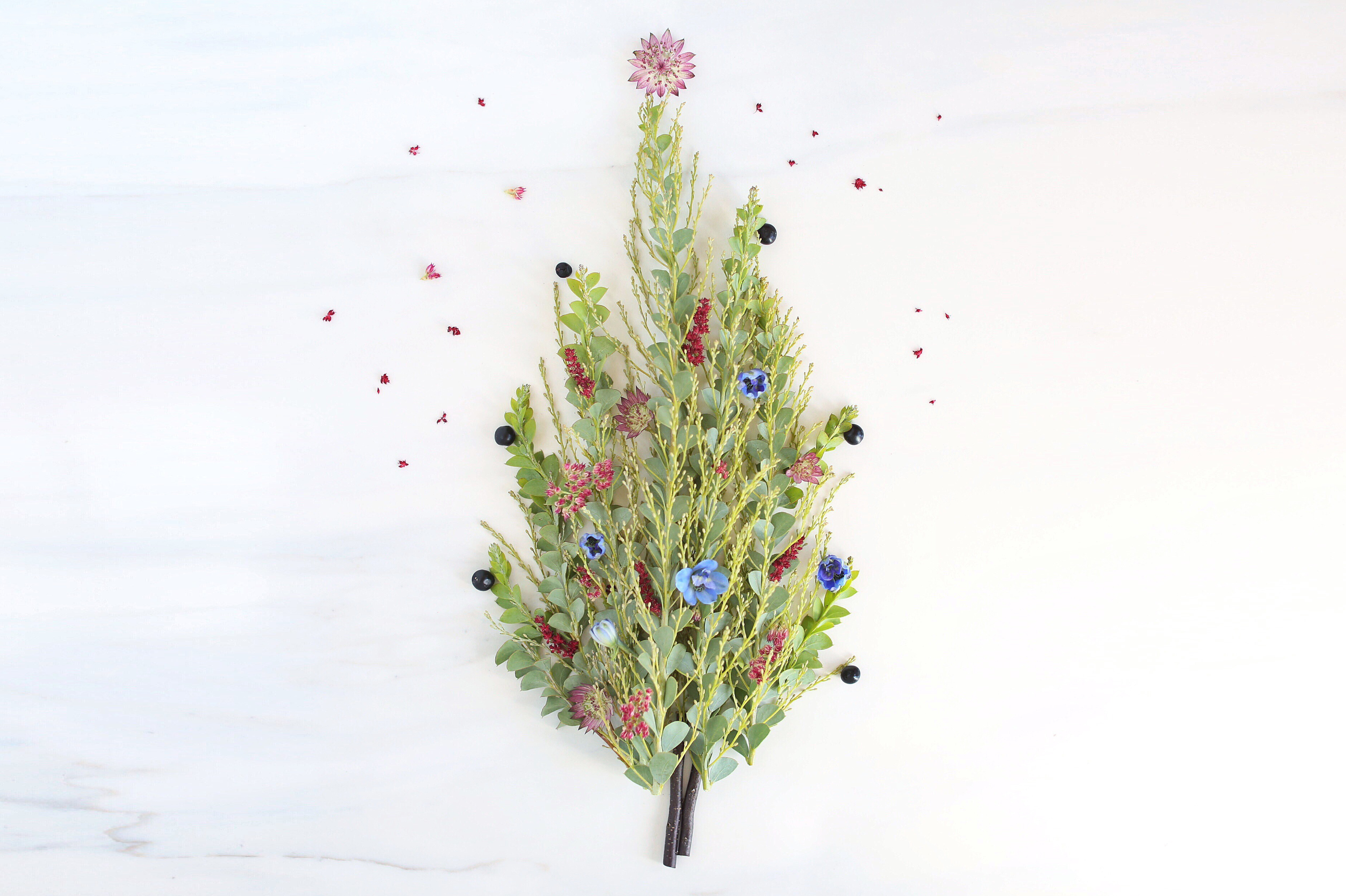 Digital Blooms December 2017 | Free Desktop Wallpapers | Design 1 // JustineCelina.com x Rebecca Dawn Design