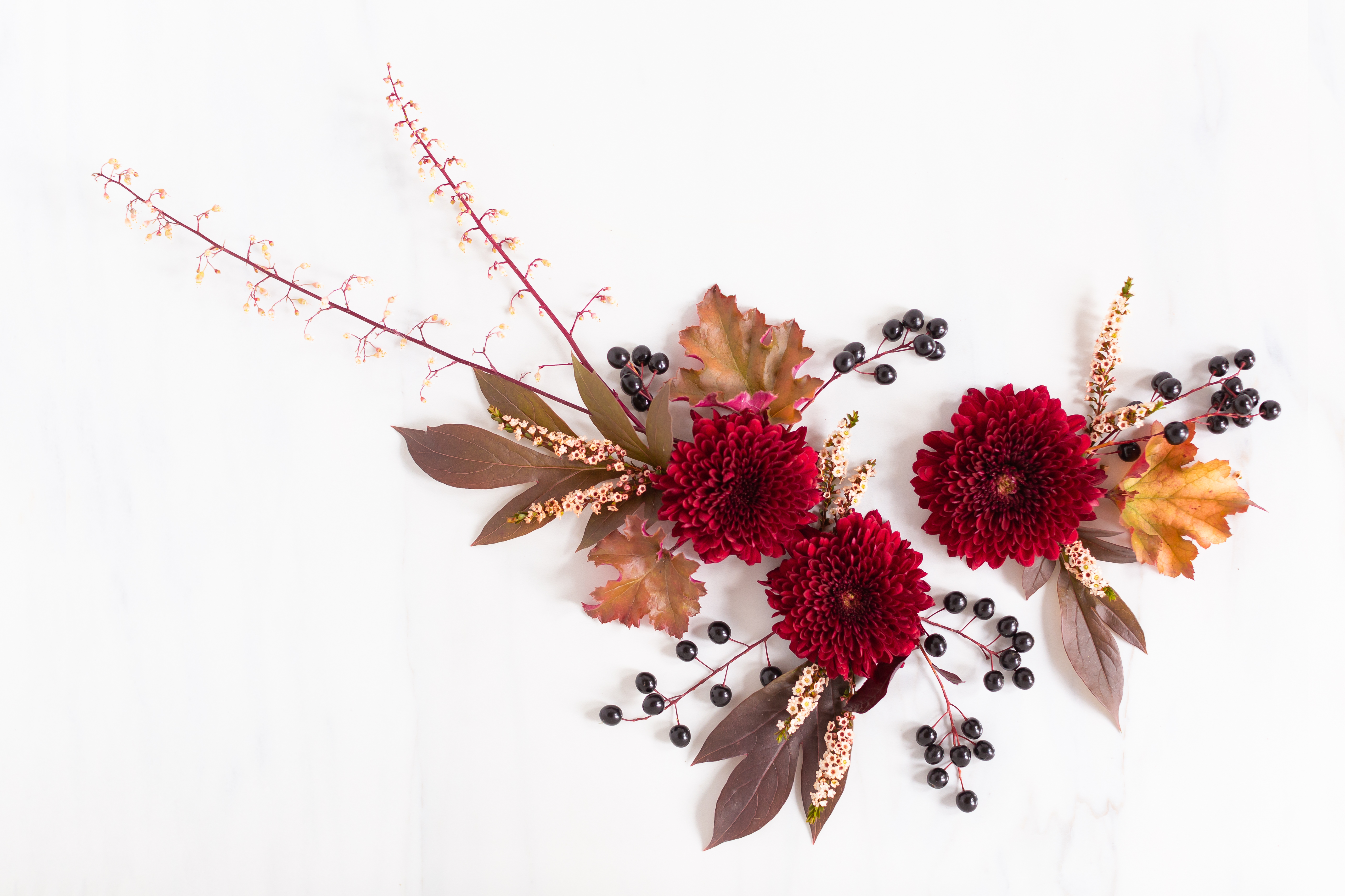 Digital Blooms November 2018 | Free Desktop Wallpapers for Fall with Mums, Thrytptomene and an array of foraged autumn leaves and berries | Pantone Fall / Winter 2018 Free Tech Wallpapers | Design 1 // JustineCelina.com x Rebecca Dawn Design