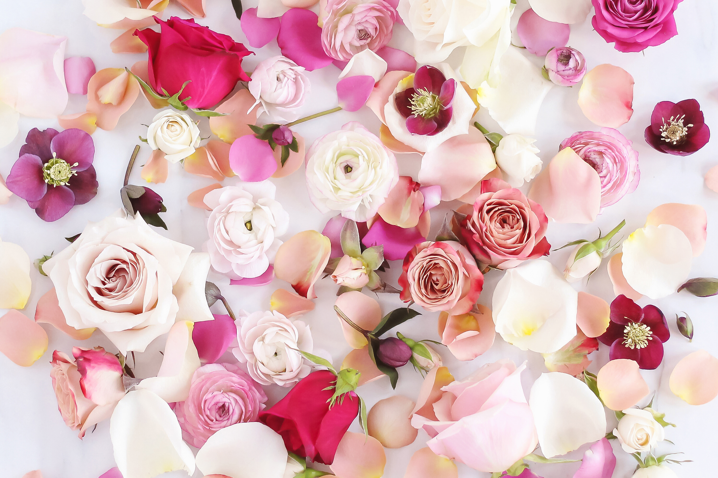 DIGITAL BLOOMS FEBRUARY 2019 | FREE DESKTOP WALLPAPER | A Bed of Roses FREE Desktop Wallpaper for Valentineβs Day | Free Valentineβs Day Flower Tech Wallpapers | Free Romantic Flower Desktop Wallpaper | Free Free February 2019 Floral Desktop Wallpapers featuring Vendela Roses, Quick Sand Roses, Mother of Pearl Roses, Cappuccino Roses, Precious Moments Roses, Roseberry Roses, Spray Roses, Ranunculus and Hellebores // JustineCelina.com x Rebecca Dawn Design