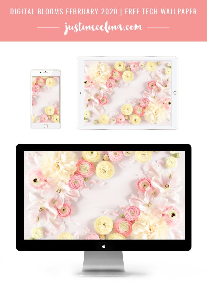 DIGITAL BLOOMS FEBRUARY 2020 | FREE DESKTOP WALLPAPER | A soft, feminine, pastel floral FREE Desktop Wallpaper for Valentineβs Day | Pink Floral Tech Wallpaper for February | Pastel Pink FREE tech wallpaper Spring 2020 | Free Valentineβs Day Flower Tech Wallpapers | Free Romantic Flower Desktop Wallpaper | Free Free February 2020 Floral Desktop Wallpapers featuring including delicate Ranunculus, Parrot Tulips and creamy Peonies // JustineCelina.com