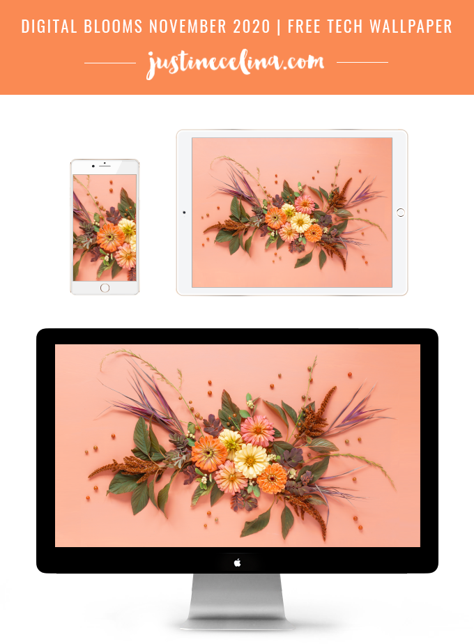 DIGITAL BLOOMS NOVEMBER 2020 | FREE DESKTOP WALLPAPER | Free Fall 2020 Floral Desktop Wallpapers featuring Alberta grown Zinnias and Red Amaranth along with foraged Western Snowberries, Woodβs Rose Leaves, Broomsedge Bluestem and Garden Asparagus Foliage and Berries on an Pantone Autumn/Winter 2020/2021 Peach Nougat background | Free Fall Floral Wallpapers | Boho Flower Fall 2020 Tech Wallpapers | The Best FREE Fall Tech Wallpapers | Free Floral Tech Wallpapers Autumn 2020 // JustineCelina.com