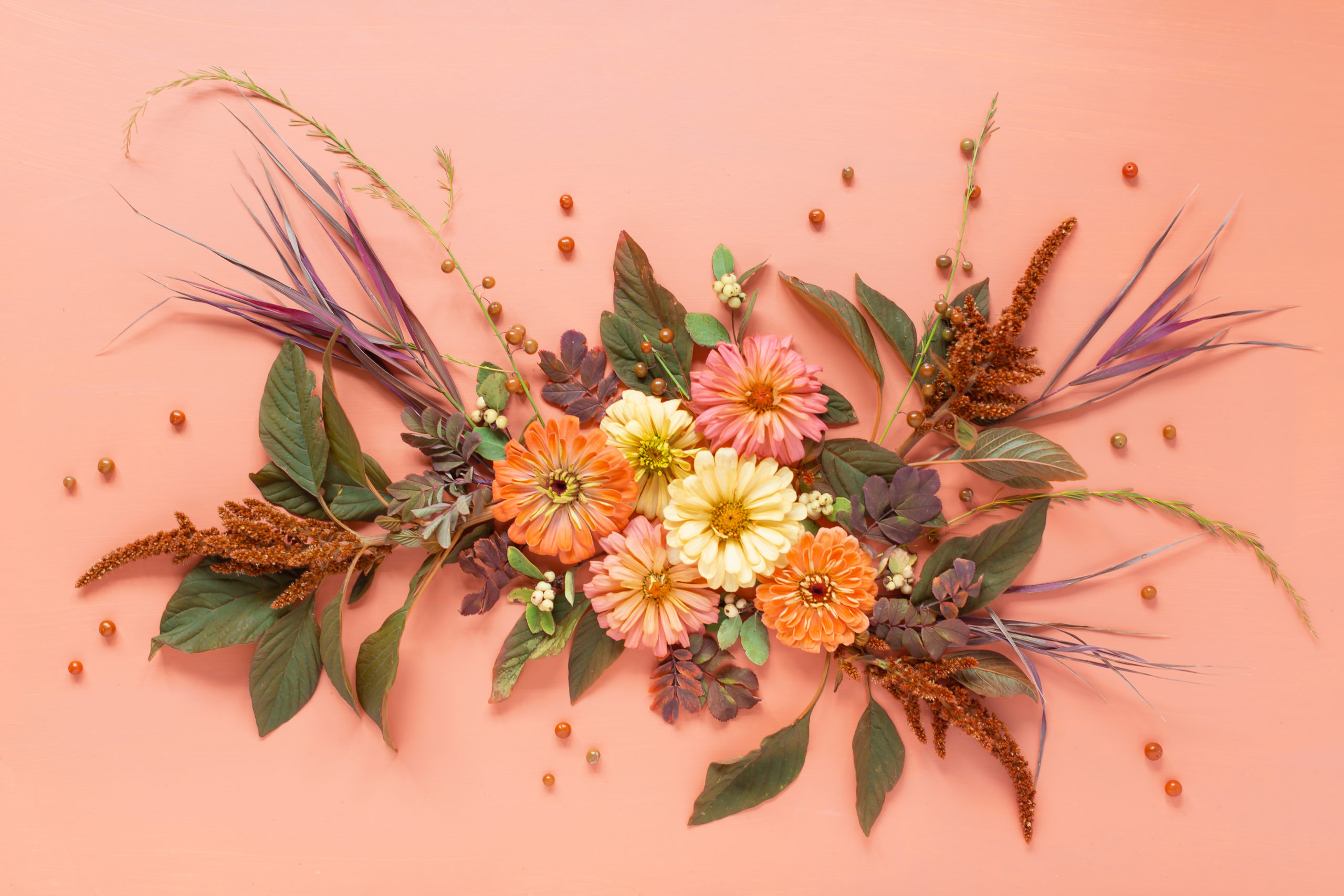 DIGITAL BLOOMS NOVEMBER 2020 | FREE DESKTOP WALLPAPER | Free Fall 2020 Floral Desktop Wallpapers featuring Alberta grown Zinnias and Red Amaranth along with foraged Western Snowberries, Woodβs Rose Leaves, Broomsedge Bluestem and Garden Asparagus Foliage and Berries on an Pantone Autumn/Winter 2020/2021 Peach Nougat background | Free Fall Floral Wallpapers | Boho Flower Fall 2020 Tech Wallpapers | The Best FREE Fall Tech Wallpapers | Free Floral Tech Wallpapers Autumn 2020 // JustineCelina.com