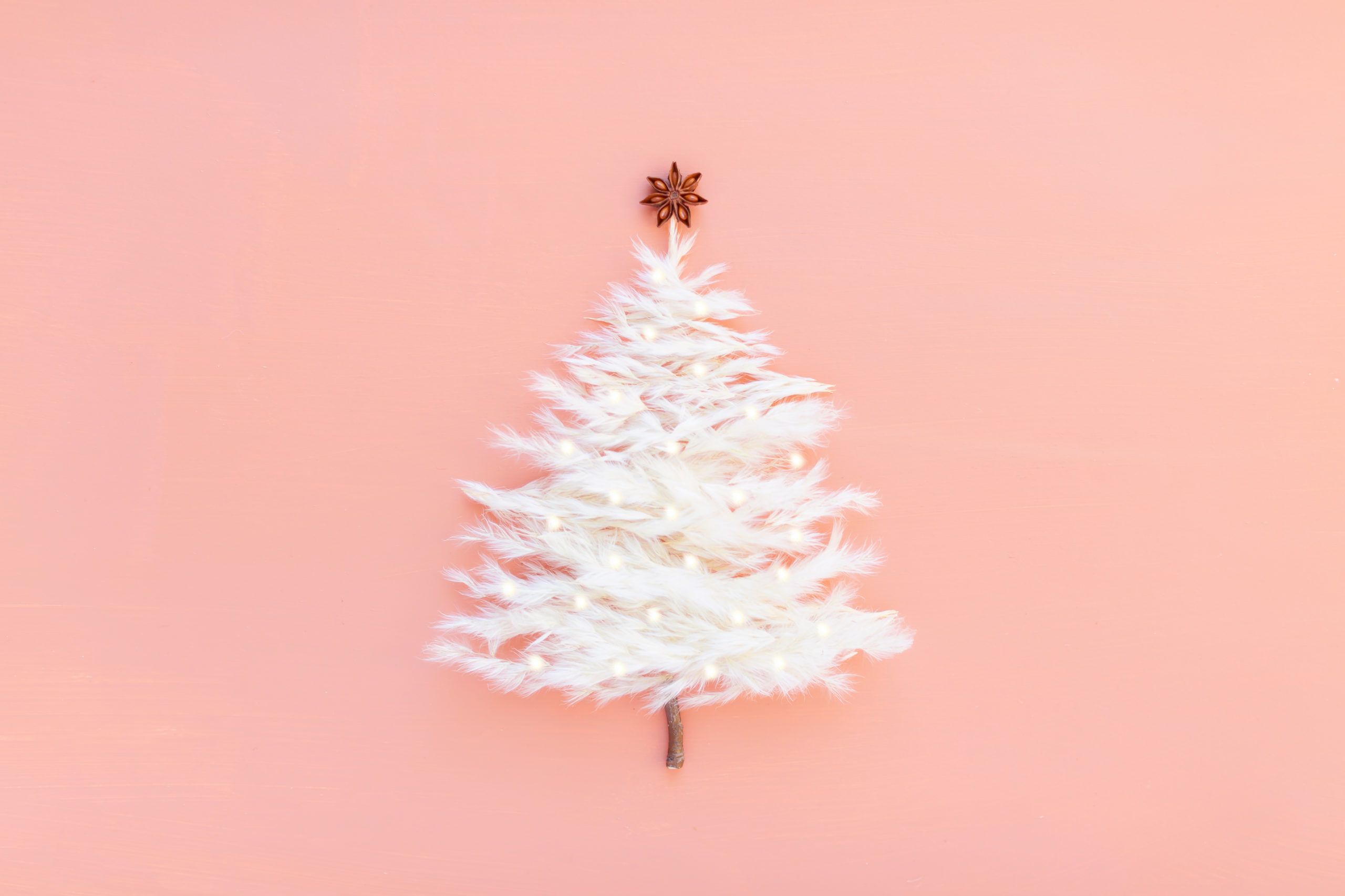 DIGITAL BLOOMS DECEMBER 2020 | FREE DESKTOP WALLPAPER | A Pampas Grass Christmas Tree with Fairy Lights, a Star Anise Tree Topper and a Natural Stem Base | Boho Holiday Decor | Boho Christmas Wallpaper | Modern Boho Christmas Tree | Pampas Grass Christmas Tree | Modern Holiday Tech Wallpaper | Boho Christmas Tree | Free Christmas Digital Wallpaper | Free Holiday Wallpaper | Pampas Grass Christmas Tree Wallpaper | Winter Wreath Download | JustineCelina Digital Blooms // JustineCelina.com