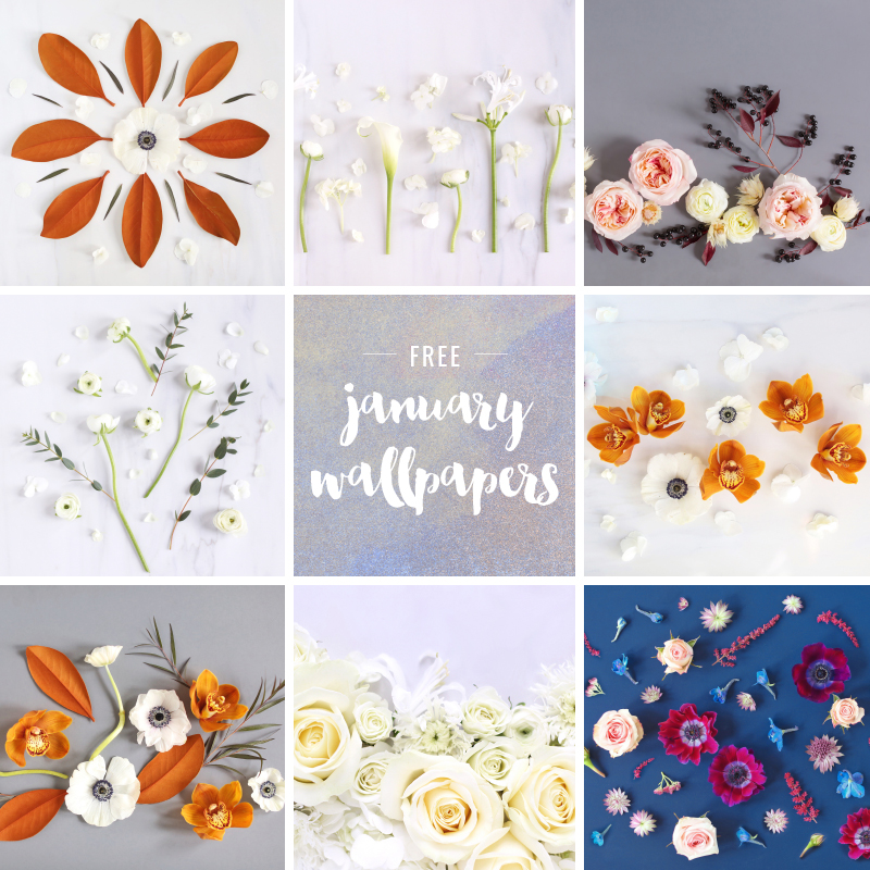 DIGITAL BLOOMS JANUARY 2021 | JANUARY DIGITAL BLOOMS ROUNDUP | 8 FREE DESKTOP WALLPAPER | The Best of Justine Celinaβs January Digital Blooms | Best 2021 Free Tech Wallpapers | Β Best Winter Desktop Backgrounds | Desktop backgrounds January 2021 | Floral Wallpaper Blog | Free Computer Wallpapers | Β January Flower Wallpaper | Fresh Calendar Wallpaper for a New Year | Free Winter Flower Wallpapers | The Best January Wallpapers| Calgary Creative Lifestyle Blogger // JustineCelina.com