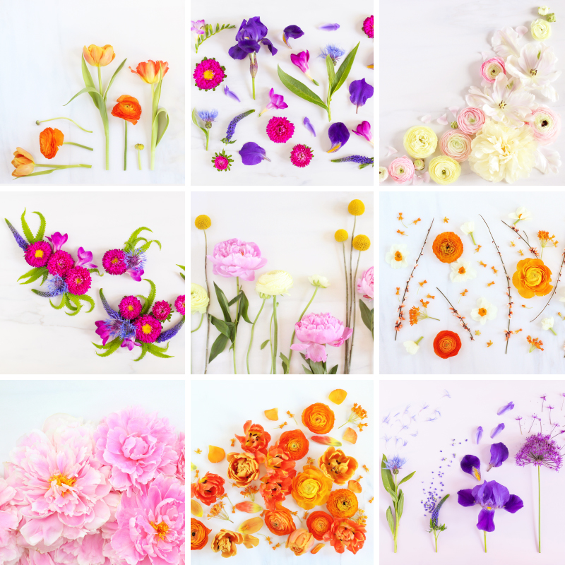 DIGITAL BLOOMS JULY 2021 | JULY DIGITAL BLOOMS ROUNDUP | 11 FREE DESKTOP WALLPAPERS | The Best of Justine Celinaβs July Digital Blooms | Best 2021 Free Tech Wallpapers | Best Summer Desktop Backgrounds | Desktop backgrounds June 2021 | Floral Wallpaper Blog | Free Computer Wallpapers | July Flower Wallpaper | Summer Flower Wallpaper | Free Floral Wallpapers | Free Colorful Flower Wallpapers | Free Peony Wallpapers | Calgary Creative Lifestyle Blogger // JustineCelina.com