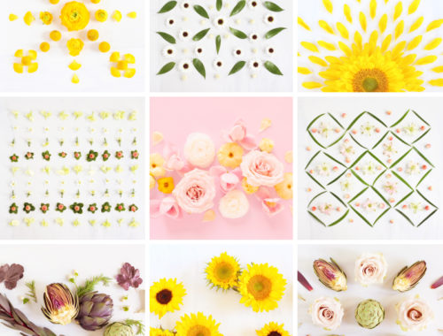 DIGITAL BLOOMS AUGUST 2021 | AUGUST DIGITAL BLOOMS ROUNDUP | 11 FREE DESKTOP WALLPAPERS | The Best of Justine Celinaβs August Digital Blooms | Best 2021 Free Tech Wallpapers | Best Summer Desktop Backgrounds | Desktop backgrounds August 2021 | Floral Wallpaper Blog | Free Computer Wallpapers | August Flower Wallpaper | Summer Flower Wallpaper | Free Floral Wallpapers | Free Colorful Flower Wallpapers | Free Sunflower Wallpapers | Calgary Creative Lifestyle Blogger // JustineCelina.com