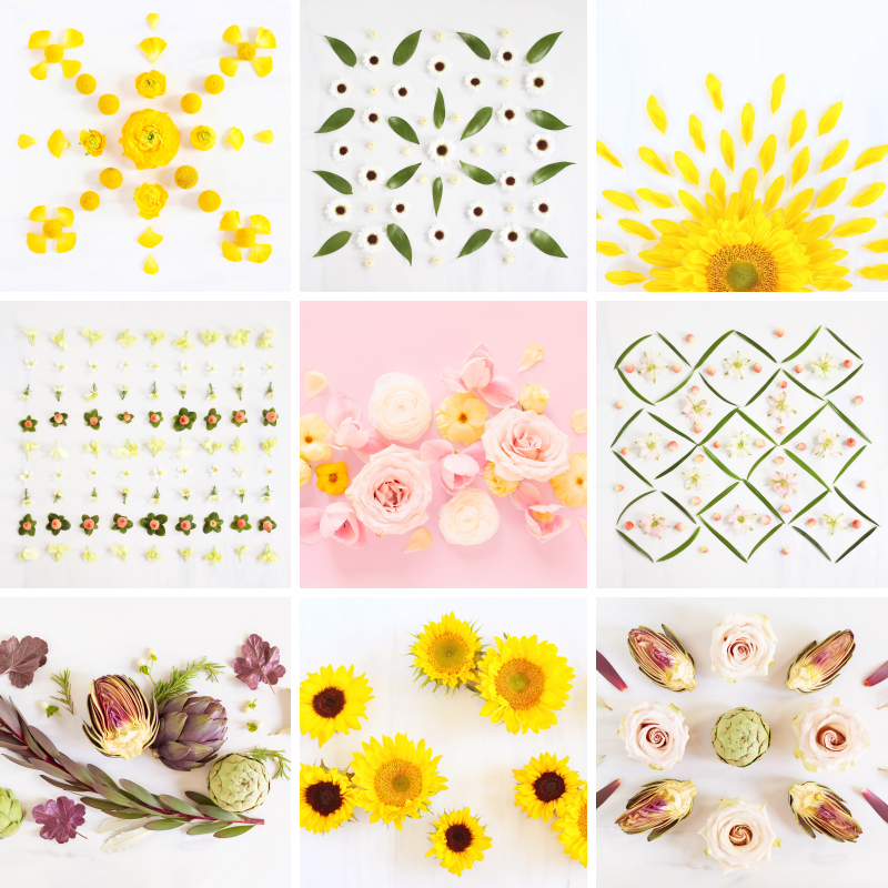 DIGITAL BLOOMS AUGUST 2021 | AUGUST DIGITAL BLOOMS ROUNDUP | 11 FREE DESKTOP WALLPAPERS | The Best of Justine Celinaβs August Digital Blooms | Best 2021 Free Tech Wallpapers | Best Summer Desktop Backgrounds | Desktop backgrounds August 2021 | Floral Wallpaper Blog | Free Computer Wallpapers | August Flower Wallpaper | Summer Flower Wallpaper | Free Floral Wallpapers | Free Colorful Flower Wallpapers | Free Sunflower Wallpapers | Calgary Creative Lifestyle Blogger // JustineCelina.com