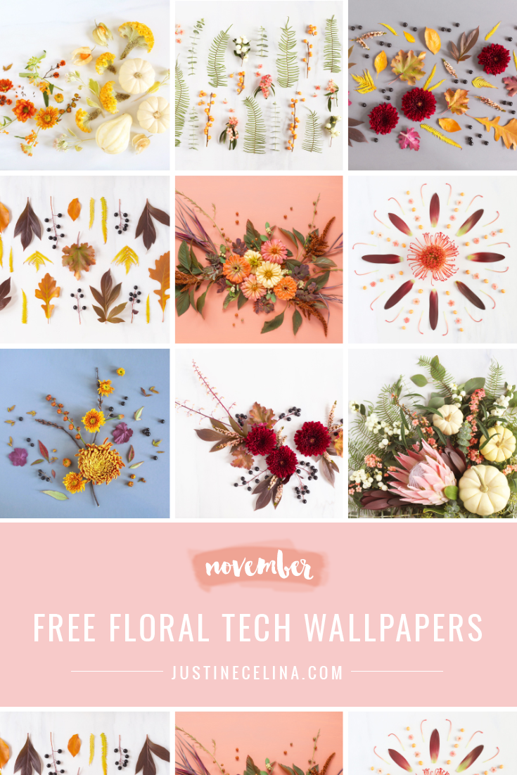 DIGITAL BLOOMS NOVEMBER 2021 | NOVEMBER DIGITAL BLOOMS ROUNDUP | 11 FREE DESKTOP WALLPAPERS | The Best of Justine Celinaβs November Digital Blooms | Best 2021 Free Tech Wallpapers | Best Fall/Winter Desktop Backgrounds | Desktop backgrounds November 2021 | Floral Wallpaper Blog | Free Computer Wallpapers | November Flower Wallpaper | Fall/Autumn Flower Wallpaper | Free Floral Wallpapers | Free Fall Flower and Foliage Wallpapers | Calgary Creative Lifestyle Blogger // JustineCelina.com