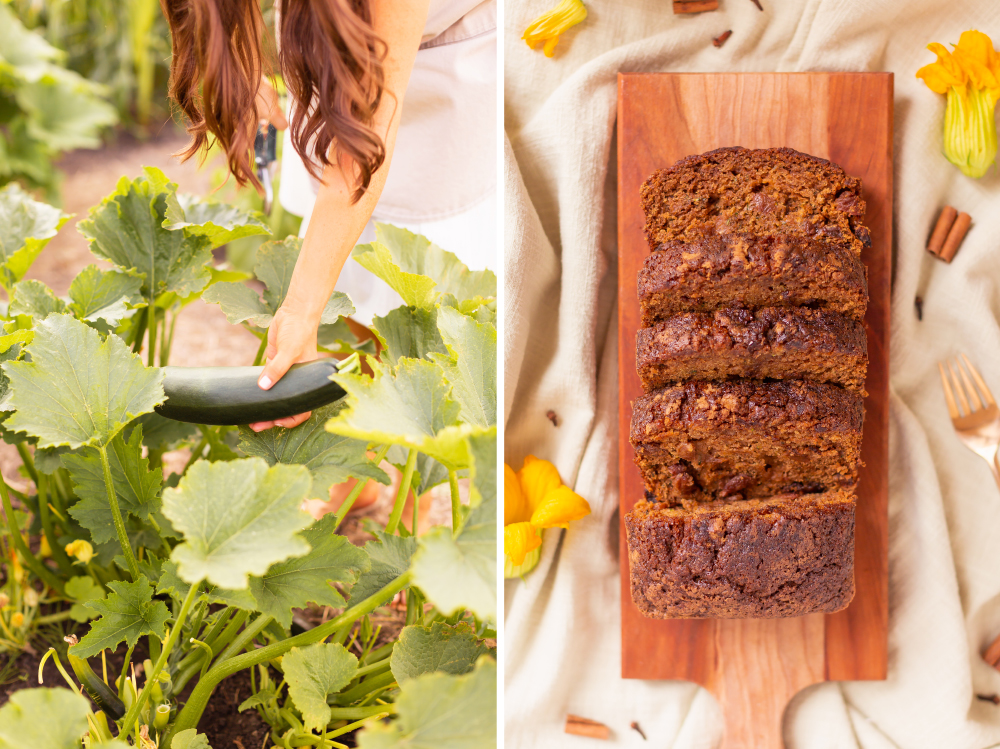 Cinnamon Raisin Zucchini Bread {Dairy Free, Gluten Free, Refined Sugar Free} | A woman harvesting green zucchini in an abundant country garden alongside a loaf of sliced zucchini bread | Best Baking Recipes for Overgrown Garden Zucchini | What to do with large zucchini | July garden harvest | Zone 3b Garden | JustineCelinaβs Country Garden 2021 | Calgary Canada Plant Based Lifestyle and Garden Blogger // JustineCelina.com