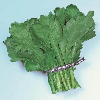 Round-Leaved Garland (Shungiku) Asian Greens Seeds 2550