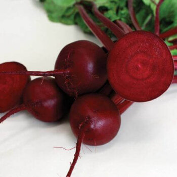 Robin Hybrid Baby Beet Seeds (Aimers International) 2740