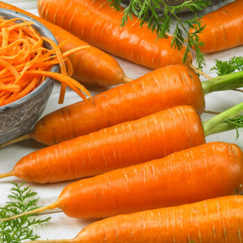 Chantenay Organic Carrot Seeds 4032