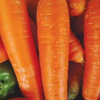 Kuroda Carrot Seeds (Aimers International) 2765