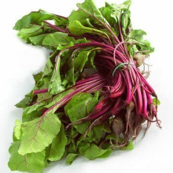 Lutz Green Leaf Beet Seeds 1277
