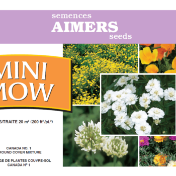 Aimers Mini Mow Jumbo Wildflower Seed Mixture 3042
