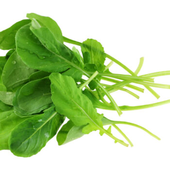 Organic Arugula (Roquette) Seeds 4000