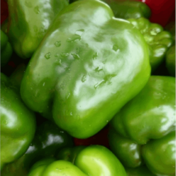 Encore Pepper Hybrid Seeds (Bell Type) 1943