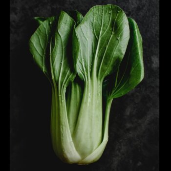 Organic Baby Pak Choi Cabbage Seeds 4027