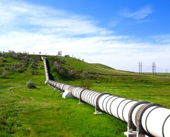 Clear Cut/Blaze/Pipeline Seed Mixture 8210