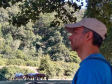 Pagine Ospitali Bargahi Basmang Dariush Pagine Ospitali Bargahi Basmang Dariush