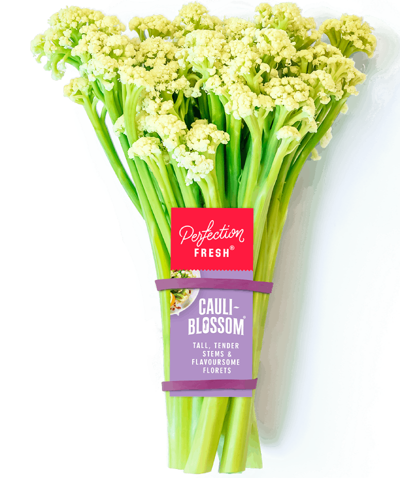 Produce_LR_Cauliblossom_Tag_2D_Beauty (1)-1